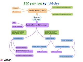 BIO pour tous synthétise
 