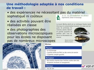 Une méthodologie adaptée à nos conditions
de travail :
• des expériences ne nécessitant pas du matériel
sophistiqué ni coûteux
• des activités pouvant être
réalisées en classe
• des photographies des
observations microscopiques
pour les écoles ne disposant
pas de nombreux microscopes
 