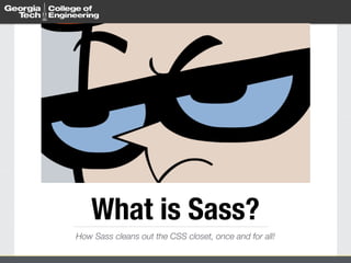 What is Sass? 
How Sass cleans out the CSS closet, once and for all! 
 