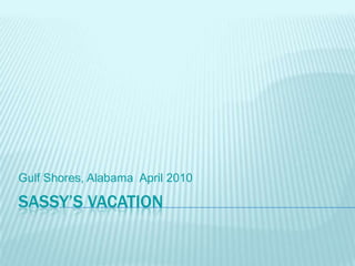 Sassy’s vacation Gulf Shores, Alabama  April 2010 