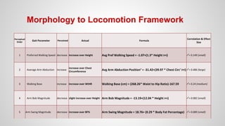 Morphology to Locomotion Framework
Perceptual
Order
Gait Parameter Perceived Actual Formula
Correlation & Effect
Size
1 Preferred Walking Speed decrease increase over Height Avg Pref Walking Speed = -1.07+(1.3* Height (m)) r2
= 0.149 (small)
2 Average Arm Abduction increase
increase over Chest
Circumference
Avg Arm Abduction Position° = -31.42+(39.97 * Chest Circ’ (m)) r2
= 0.486 (large)
3 Walking Base increase increase over WtHR Walking Base (cm) = (268.26* Waist to Hip Ratio)-167.59 r2
= 0.24 (medium)
4 Arm Bob Magnitude decrease slight increase over Height Arm Bob Magnitude = -13.19+(12.04 * Height (m)) r2
= 0.082 (small)
5 Arm Swing Magnitude decrease increase over BF% Arm Swing Magnitude = 18.76+ (0.29 * Body Fat Percentage) r2
= 0.089 (small)
 