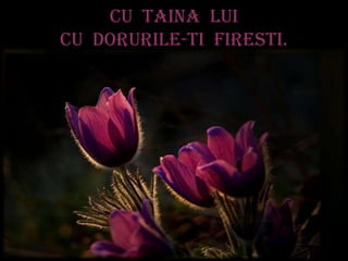 Cu taina lui
Cu dorurile-ti firesti.
 