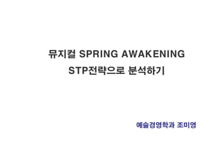 뮤지컬 SPRING AWAKENING STP전략으로 분석하기 예술경영학과 조미영 