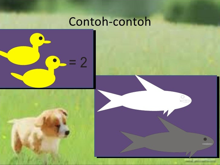 Contoh Objek Abstrak Adalah - Contoh Anna