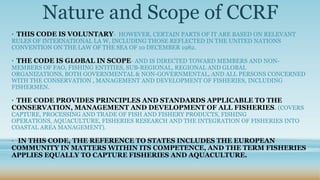 Nature and Scope of CCRF
• THIS CODE IS VOLUNTARY- HOWEVER, CERTAIN PARTS OF IT ARE BASED ON RELEVANT
RULES OF INTERNATIONAL LA W, INCLUDING THOSE REFLECTED IN THE UNITED NATIONS
CONVENTION ON THE LAW OF THE SEA OF 10 DECEMBER 1982.

• THE CODE IS GLOBAL IN SCOPE- AND IS DIRECTED TOWARD MEMBERS AND NON-
MEMBERS OF FAO, FISHING ENTITIES, SUB-REGIONAL, REGIONAL AND GLOBAL
ORGANIZATIONS, BOTH GOVERNMENTAL & NON-GOVERNMENTAL, AND ALL PERSONS CONCERNED
WITH THE CONSERVATION , MANAGEMENT AND DEVELOPMENT OF FISHERIES, INCLUDING
FISHERMEN.

• THE CODE PROVIDES PRINCIPLES AND STANDARDS APPLICABLE TO THE
CONSERVATION, MANAGEMENT AND DEVELOPMENT OF ALL FISHERIES. (COVERS
CAPTURE, PROCESSING AND TRADE OF FISH AND FISHERY PRODUCTS, FISHING
OPERATIONS, AQUACULTURE, FISHERIES RESEARCH AND THE INTEGRATION OF FISHERIES INTO
COASTAL AREA MANAGEMENT).

• IN THIS CODE, THE REFERENCE TO STATES INCLUDES THE EUROPEAN
COMMUNITY IN MATTERS WITHIN ITS COMPETENCE, AND THE TERM FISHERIES
APPLIES EQUALLY TO CAPTURE FISHERIES AND AQUACULTURE.
 