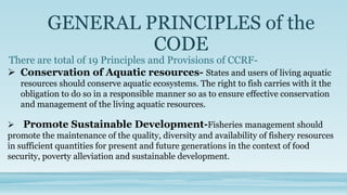 GENERAL PRINCIPLES of the
                   CODE
There are total of 19 Principles and Provisions of CCRF-
 Conservation of Aquatic resources- States and users of living aquatic
   resources should conserve aquatic ecosystems. The right to fish carries with it the
   obligation to do so in a responsible manner so as to ensure effective conservation
   and management of the living aquatic resources.

 Promote Sustainable Development-Fisheries management should
promote the maintenance of the quality, diversity and availability of fishery resources
in sufficient quantities for present and future generations in the context of food
security, poverty alleviation and sustainable development.
 