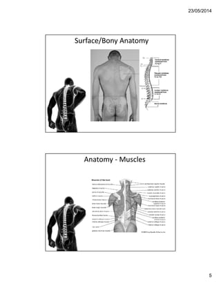 23/05/2014
5
Surface/Bony Anatomy
Anatomy - Muscles
 
