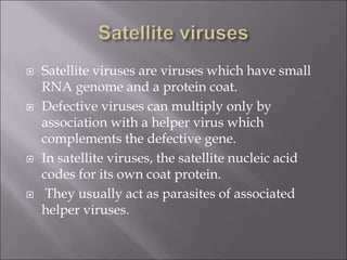  Satellite viruses are viruses which have small
RNA genome and a protein coat.
 Defective viruses can multiply only by
association with a helper virus which
complements the defective gene.
 In satellite viruses, the satellite nucleic acid
codes for its own coat protein.
 They usually act as parasites of associated
helper viruses.
 