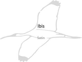 Ibis Satin 