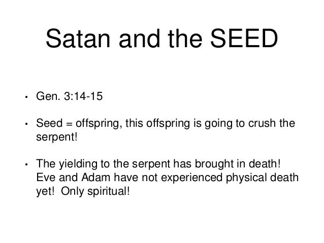 Satan And The Seed 