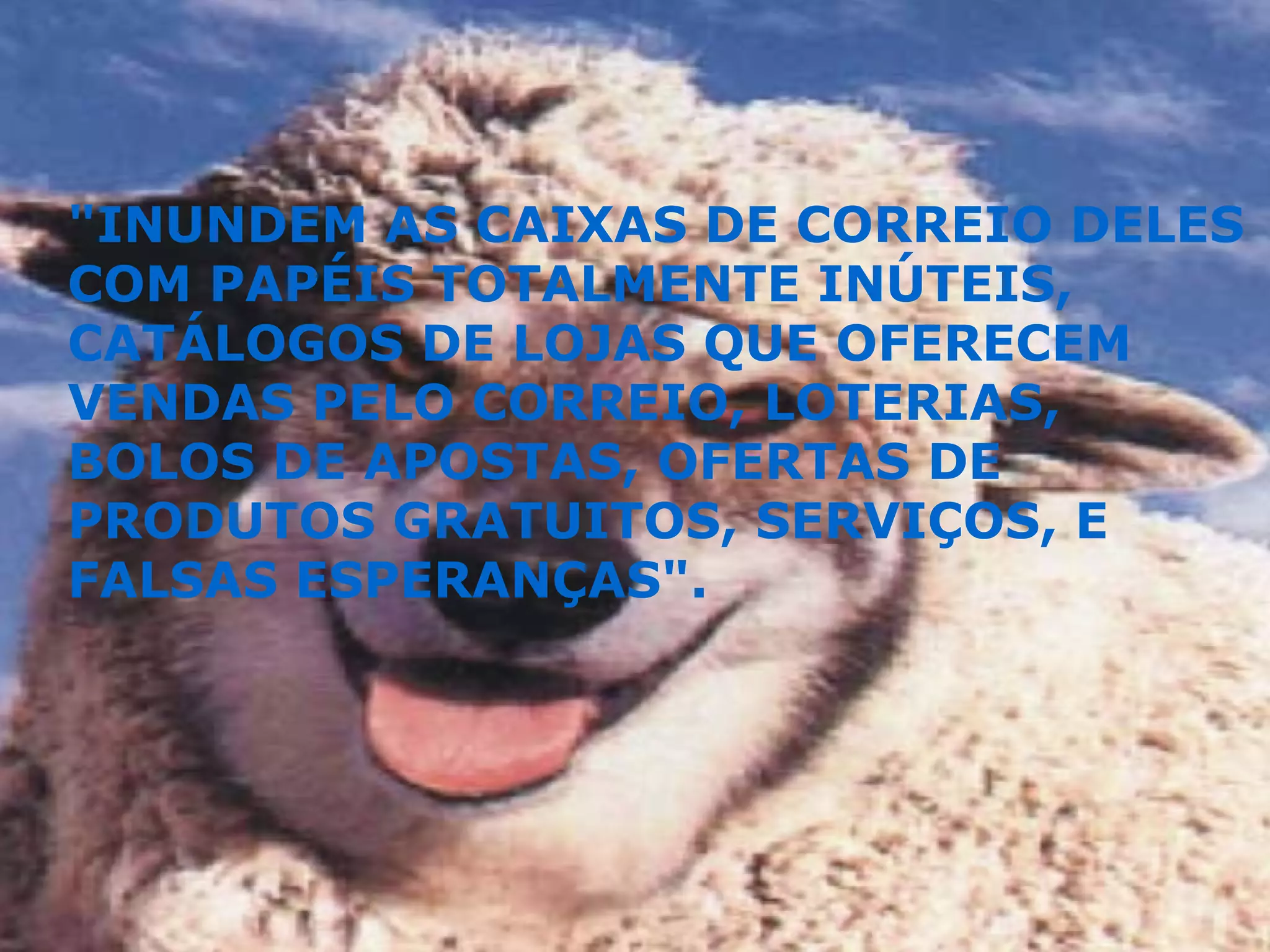 "INUNDEM AS CAIXAS DE CORREIO DELES COM PAPÉIS TOTALMENTE INÚTEIS, CATÁLOGOS DE LOJAS QUE OFERECEM VENDAS PELO CORREIO, LOTERIAS, BOLOS DE APOSTAS, OFERTAS DE PRODUTOS GRATUITOS, SERVIÇOS, E FALSAS ESPERANÇAS". 