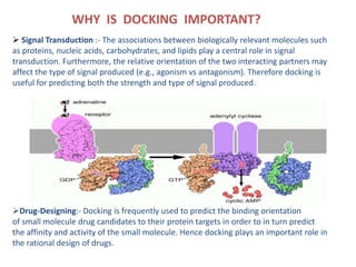 WHY IS DOCKING IMPORTANT?
 Signal Transduction :- The associations between biologically relevant molecules such
as protei...