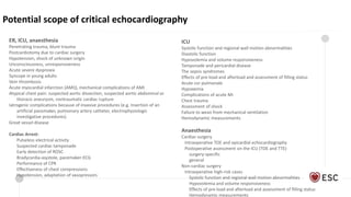 ECHO by the clinician | PPTX