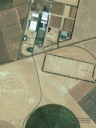 Satélites para Deteção Remota aplicada à Gestão Territorial • 35
Áreas de regadio na Arábia Saudita.
Imagem PS do satélite IKONOS.
Fonte: Space Imaging.
 