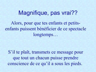 Magnifique, pas vrai?? Alors, pour que tes enfants et petits-enfants puissent bénéficier de ce spectacle longtemps… S’il te plaît, transmets ce message pour que tout un chacun puisse prendre conscience de ce qu’il a sous les pieds.  