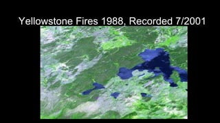 Yellowstone Fires 1988, Recorded 7/2001
 