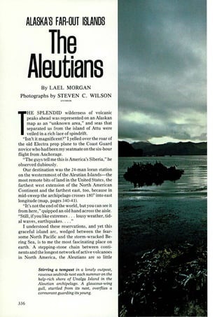 ALASKA'S FAR-OUT ISLANDS 
e 
eutians 
By LAEL MORGAN 
Photographs by STEVEN C. WILSON 
I:~HI EOS 
HE SPLENDID wilderness of volcanic 
peaks ahead was represented on an Alaskan 
map as an "unknown area," and seas that 
separated us from the island of Attu were 
veiled in a rich lace of spindrift. 
"Isn't it magnificent?" I yelled over the roar of 
the old Electra prop plane to the Coast Guard 
novice who had been my seatmate on the six-hour 
flight from Anchorage. 
"The guys tell me this is America's Siberia," he 
observed dubiously. 
Our destination was the 24-man loran station 
on the westernmost of the Aleutian Islands-the 
most remote bits ofland in the United States, the 
farthest west extension of the North American 
Continent and the farthest east, too, because in 
mid-sweep the archipelago crosses 180° into east 
longitude (map, pages 340-41). 
"It's not the end of the world, but you can see it 
from here," quipped an old hand across the aisle. 
"Still, if you like extremes .. . lousy weather, tid-al 
waves, earthquakes . . . . " 
I understood these reservations, and yet this 
graceful island arc, wedged between the fear­some 
North Pacific and the storm-wracked Be­ring 
Sea, is to me the most fascinating place on 
earth. A stepping-stone chain between conti­nents 
and the longest network of active volcanoes 
m North America, the Aleutians are so little 
336 
Stirring a tempest in a lonely outpost, 
raucous seabirds nest each summer on the 
kelp-rich shore of Unalga Island in the 
Aleutian archipelago. A glaucous-wing 
gull, startled from its nes t, overflies a 
cormorant guarding its young. 
 