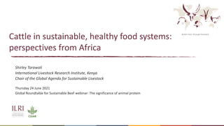 Better lives through livestock
Cattle in sustainable, healthy food systems:
perspectives from Africa
Shirley Tarawali
International Livestock Research Institute, Kenya
Chair of the Global Agenda for Sustainable Livestock
Thursday 24 June 2021
Global Roundtable for Sustainable Beef webinar: The significance of animal protein
 