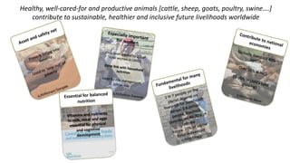 Cattle in sustainable, healthy food systems: Perspectives from Africa