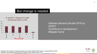 Cattle in sustainable, healthy food systems: Perspectives from Africa
