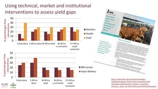 Cattle in sustainable, healthy food systems: Perspectives from Africa
