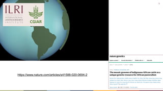 Cattle in sustainable, healthy food systems: Perspectives from Africa