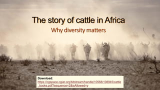 Cattle in sustainable, healthy food systems: Perspectives from Africa