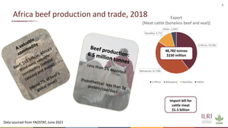 Cattle in sustainable, healthy food systems: Perspectives from Africa