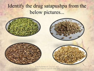 Identify the drug satapushpa from the
below pictures...
Dr.RAJALEKSHMI.S.R 1 st.yr P.G Dept
.Of.P.T.S.R SDMCAH.HASSAN. JUN...