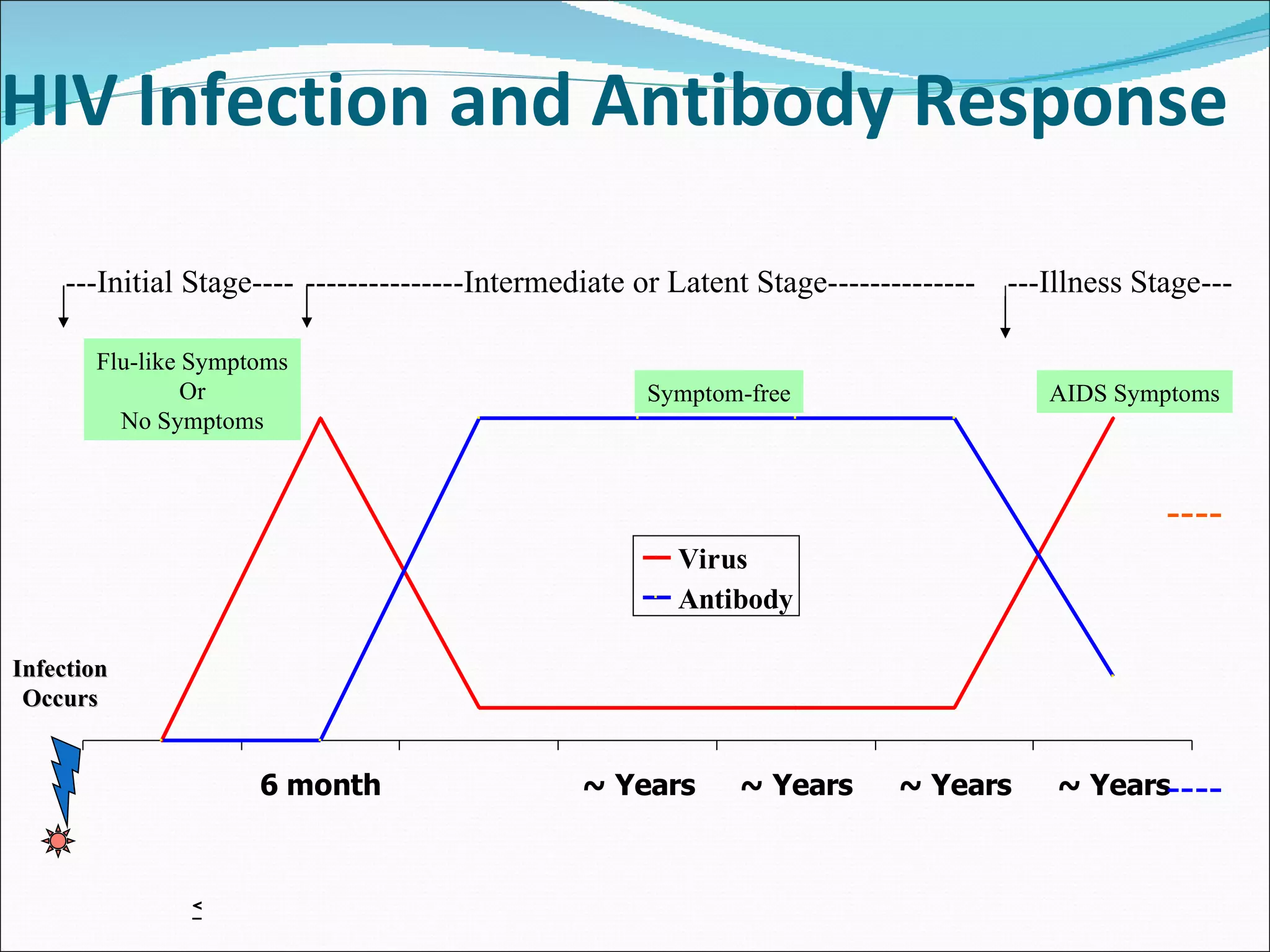 HIV Infection and Antibody Response Infection Occurs AIDS Symptoms ---Initial Stage---- ---------------Intermediate or Latent Stage-------------- ---Illness Stage--- Flu-like Symptoms Or No Symptoms Symptom-free < ---- ---- 
