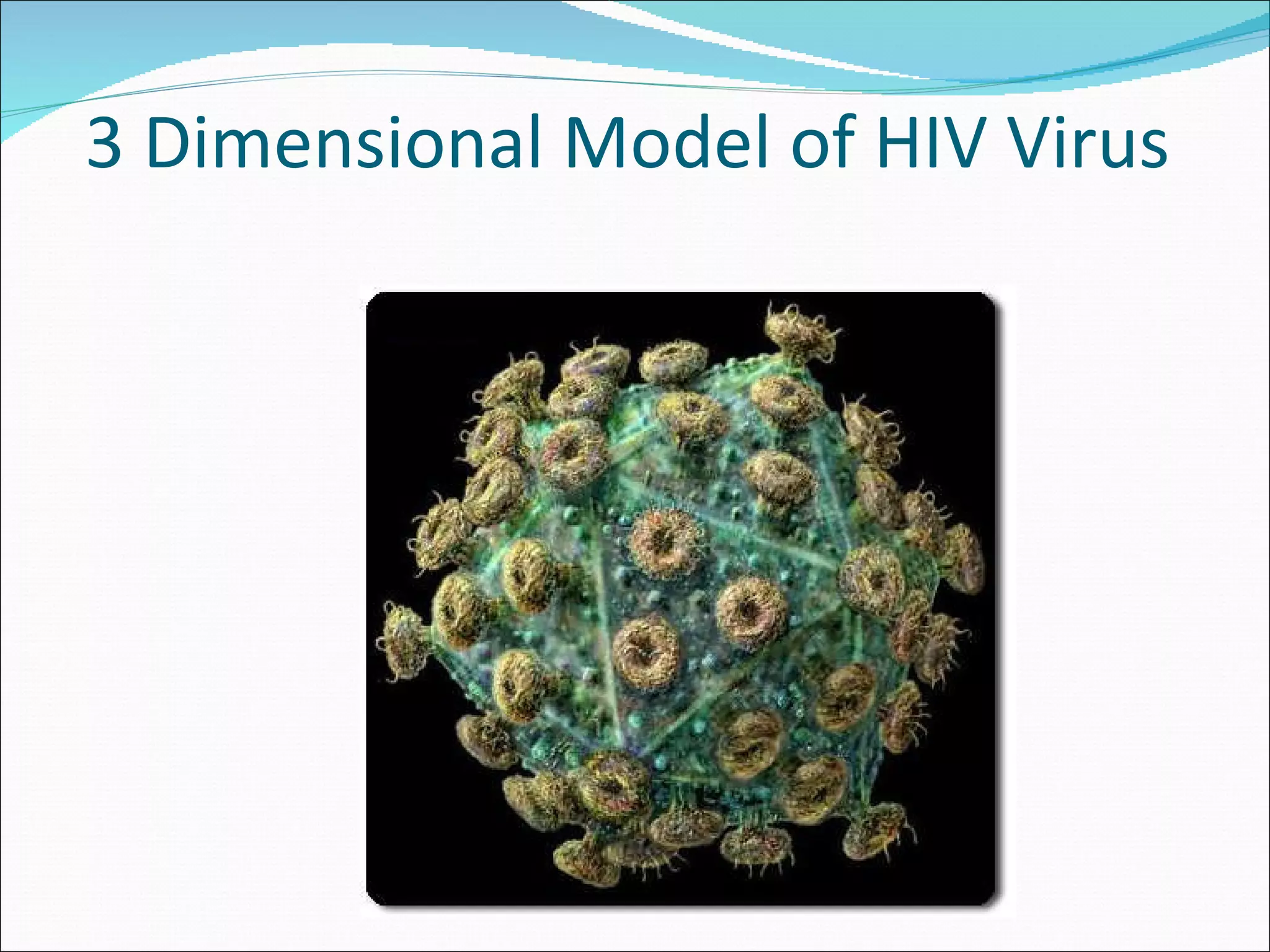 3 Dimensional Model of HIV Virus 