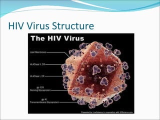 HIV Virus Structure 