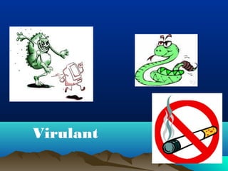 Virulant 
 