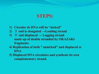 STEPS:
1) Circular ds DNA will be “nicked”
2) 3` end is elongated →Leading strand
3) 5` end displaced → Lagging strand
made up of double stranded by OKAZAKI
fragments.
4) Replication of both “ unnicked” and displaced ss
DNA
5) Displaced DNA circulates and synthesis its own
complementary strand.
 