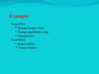 Example:
Viral DNA
* Human herpes virus
* Human papilloma virus
* Geminivirus
Viral RNA
* pospiviridiae
* Avsunviridiae
 