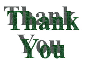 marketing information system