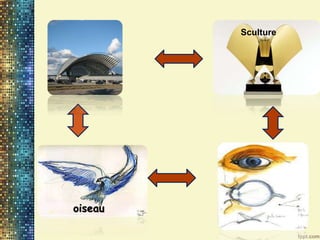 Sculture
oeil
oiseau
 