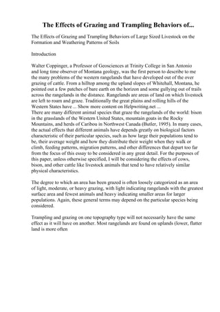 The Effects of Grazing and Trampling Behaviors of...
The Effects of Grazing and Trampling Behaviors of Large Sized Livestock on the
Formation and Weathering Patterns of Soils
Introduction
Walter Coppinger, a Professor of Geosciences at Trinity College in San Antonio
and long time observer of Montana geology, was the first person to describe to me
the many problems of the western rangelands that have developed out of the over
grazing of cattle. From a hilltop among the upland slopes of Whitehall, Montana, he
pointed out a few patches of bare earth on the horizon and some gullying out of trails
across the rangelands in the distance. Rangelands are areas of land on which livestock
are left to roam and graze. Traditionally the great plains and rolling hills of the
Western States have ... Show more content on Helpwriting.net ...
There are many different animal species that graze the rangelands of the world: bison
in the grasslands of the Western United States, mountain goats in the Rocky
Mountains, and herds of Caribou in Northwest Canada (Butler, 1995). In many cases,
the actual effects that different animals have depends greatly on biological factors
characteristic of their particular species, such as how large their populations tend to
be, their average weight and how they distribute their weight when they walk or
climb, feeding patterns, migration patterns, and other differences that depart too far
from the focus of this essay to be considered in any great detail. For the purposes of
this paper, unless otherwise specified, I will be considering the effects of cows,
bison, and other cattle like livestock animals that tend to have relatively similar
physical characteristics.
The degree to which an area has been grazed is often loosely categorized as an area
of light, moderate, or heavy grazing, with light indicating rangelands with the greatest
surface area and fewest animals and heavy indicating smaller areas for larger
populations. Again, these general terms may depend on the particular species being
considered.
Trampling and grazing on one topography type will not necessarily have the same
effect as it will have on another. Most rangelands are found on uplands (lower, flatter
land is more often
 