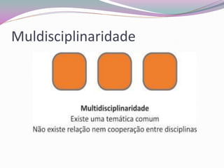 Muldisciplinaridade  
