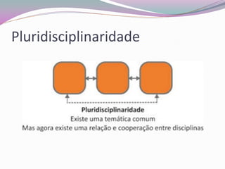 Pluridisciplinaridade  