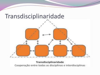 Transdisciplinaridade  