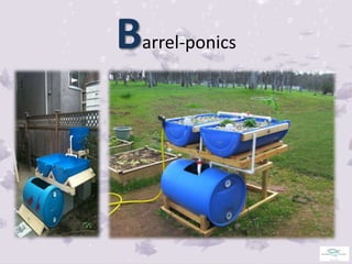 AQUAPONICS FISH CULTURE