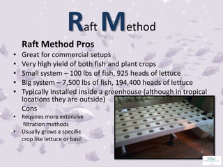 AQUAPONICS FISH CULTURE