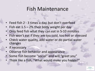 AQUAPONICS FISH CULTURE