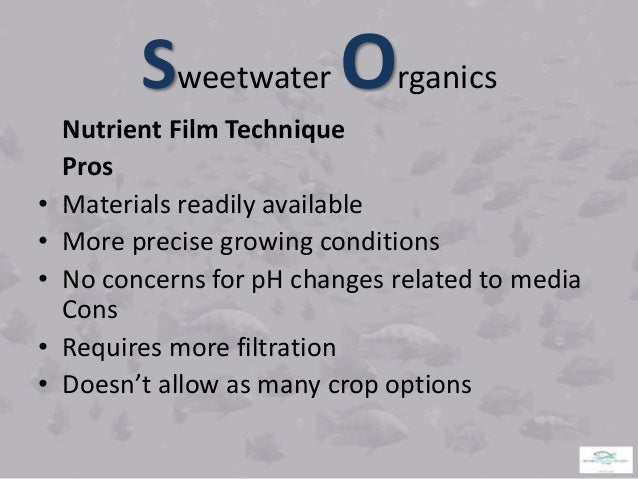AQUAPONICS FISH CULTURE
