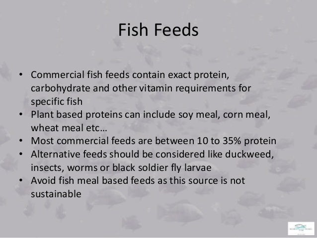 aquaponics fish culture