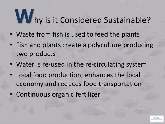 AQUAPONICS FISH CULTURE