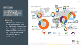 The future of sustainable livestock systems in low- and middle-income countries