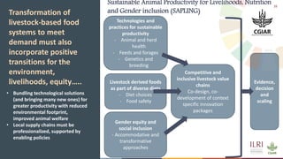 The future of sustainable livestock systems in low- and middle-income countries