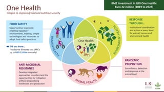 The future of sustainable livestock systems in low- and middle-income countries